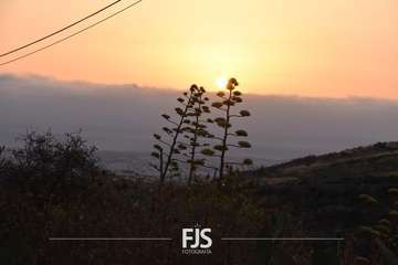 Diana Floreada en Lomo Magullo/Francisco Javier Santana y TA.